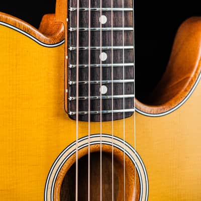 2021 Fender Acoustasonic Player Telecaster butterscotch blonde image 4