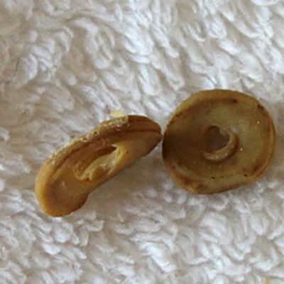 RARE Vintage 1960s Gibson Decomposing Rubber Spacer/Washers for Melody Maker PUP Height Adjustment!! image 4