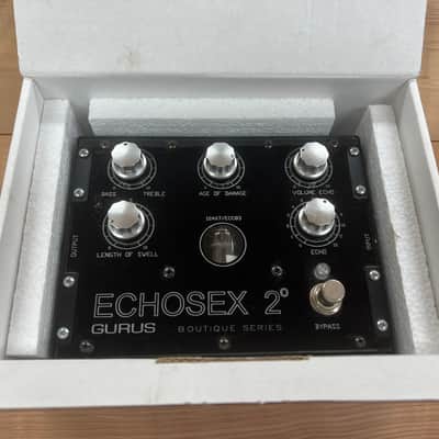 Early Gurus Echosex 2 Echorec Replica image 8