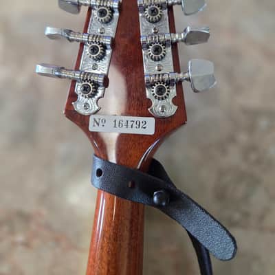 Alvarez mandolin A100 with hard case image 6