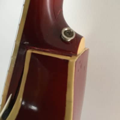 Ibanez Salvador FRESHMAN Raphael Calace 1950’s Sunburst image 6
