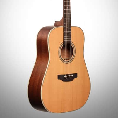 Takamine GD20 Dreadnought Acoustic Guitar image 5