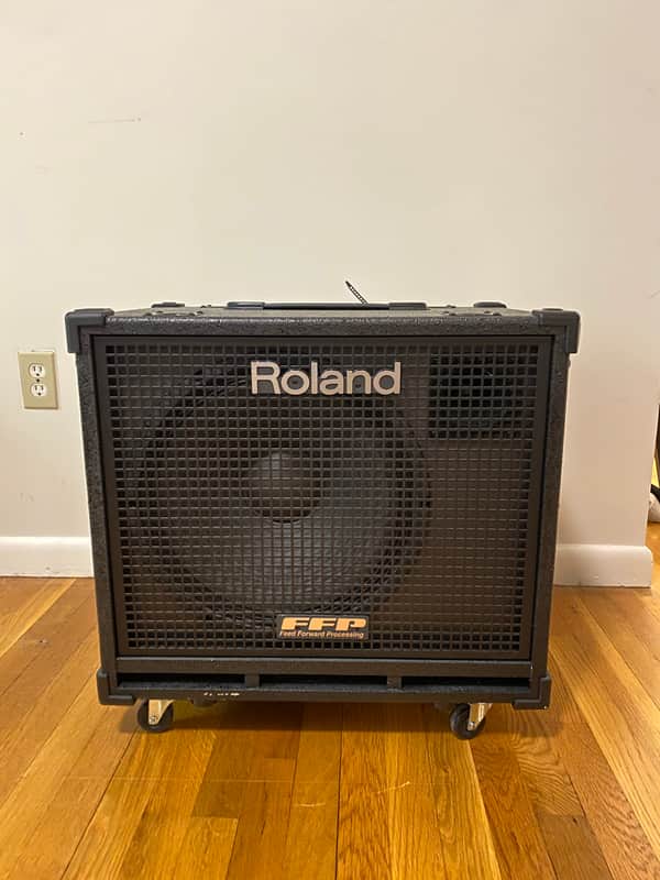 Roland D-BASS 115 + D-BASS 115X 660-Watt Bass Combo Amp Rig | Reverb