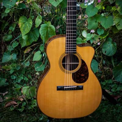 Schoenberg OMC soloist ES-15 by B. Sexauer 2006 Brazilian German image 6