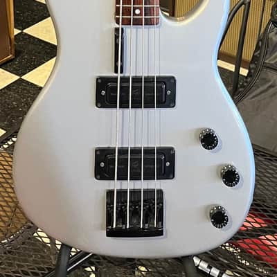 Peavey Foundation  1985 Silver image 1