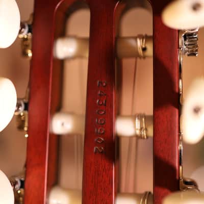 Godin MultiAc Nylon SA Acoustic-Electric Guitar Rosewood 9902 Top image 13
