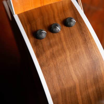 Taylor 214ce Dreadnought Acoustic-Electric Guitar image 11