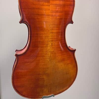 New Pietro Lombardi 502 16" Viola image 2