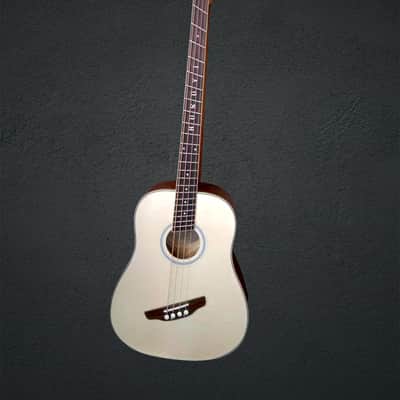 Busuyi Guitar 5 String Fretless Bass /4 String Fanned Fret Acoustic/Electric, Double Neck Guitar 2021 image 1