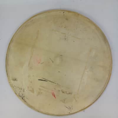 Leedy 24" Calf Skin Bass Drum Head Vintage 30s Batter/Resonant Kick Calfskin US image 1