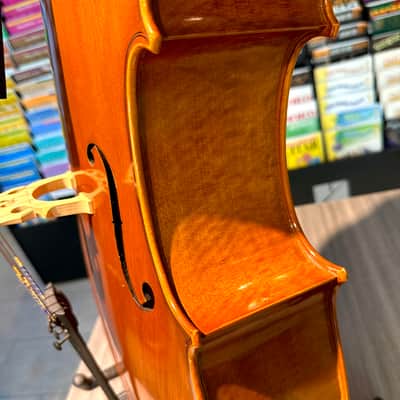Student Cello: 1/2 Cello - Segue Concertino Plus 2016 - Oil varnish image 9