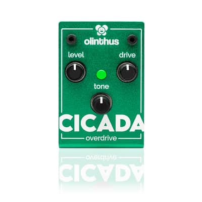 Olinthus Cicada Overdrive – World's Smallest Effects Pedal! image 4