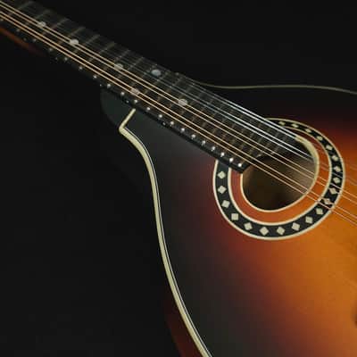 Eastman MD304E Electric A Style Oval Hole Electric K&K Mandolin with Bag image 13