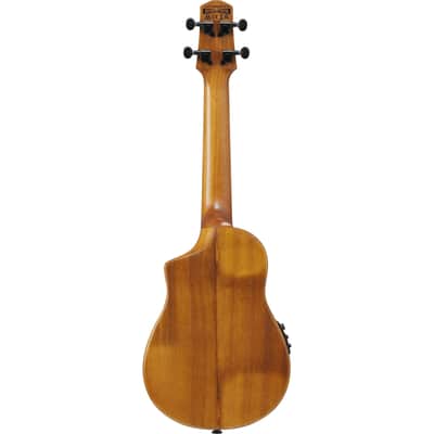 Ibanez AUC10E-OPN Concert Ukulele - Concert Ukulele image 3