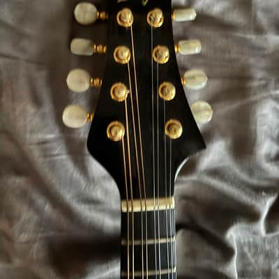 Rigel CT-110 image 4