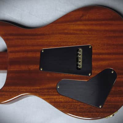 PRS Custom 22 Artist Package 2005 - Violin Amber Sunburst image 11