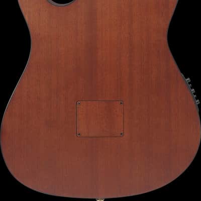 Ibanez FRH10N Thinline Nylon Acoustic Electric Guitar - Rose Gold Metallic Flat (FRH10NRGF) image 9