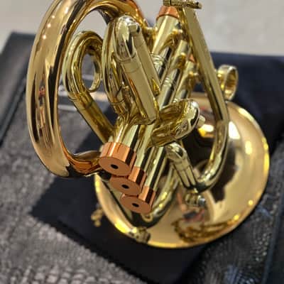 CarolBrass Pocket Flugelhorn / Taylor Phat Puppy 2024 - Polished / Lacquered image 7