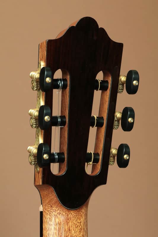 Ryosuke Kobayashi Guitars Nylon Crossover Electric Cocobolo | Reverb