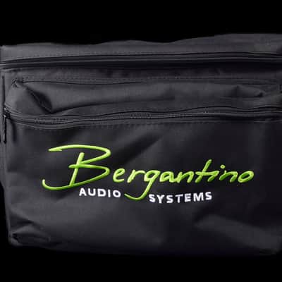 Bergantino Forté HP 2X image 5