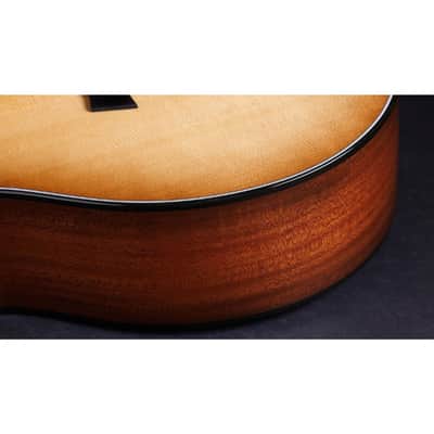 Taylor 50th Anniv. 314ce LTD Grand Auditorium Sapele/Torrefied Spruce Acoustic Electric Guitar image 6