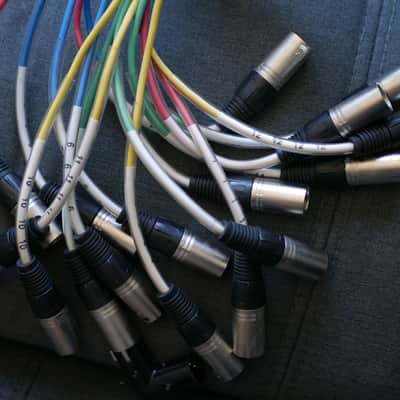 Seismic Audio SAXT-16x15M 16-Channel 1/4" TRS Male to XLR Male Snake Cable - 15' 2010s - Various image 1