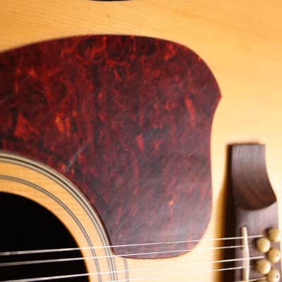 Ibanez PF5-12LG 12-String Acoustic/Electric Guitar image 5