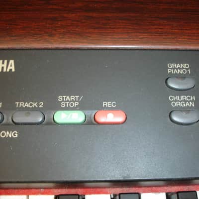 Yamaha P-120 88-key Digital Piano Keyboard w/ Accessories image 14