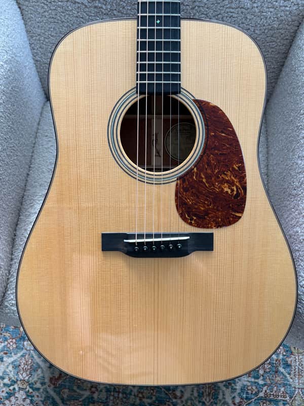 Leo Posch DM 2020 - Natural - Owner Motivated image 1