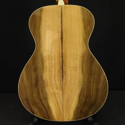 Taylor Liberty Tree 2002 - Tulip Poplar image 5