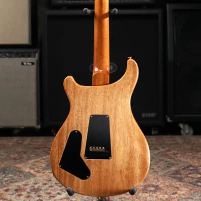 PRS Special Semi-Hollow 10-Top Electric Guitar - Aurora Borealis with Hardshell Case image 8