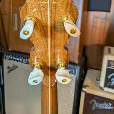 Fender FB-59 5-String Electric/Acoustic Resonator Banjo w/Case (2007) image 5