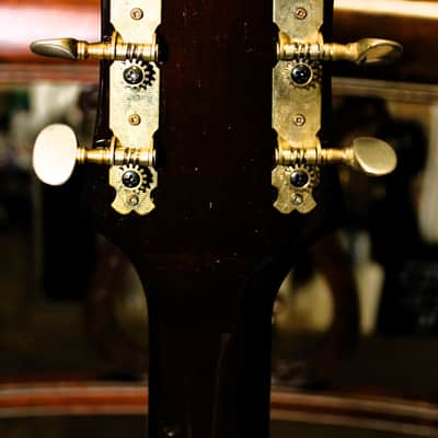 Epiphone/Norlin FT-130 MIJ Bolt on Neck image 7