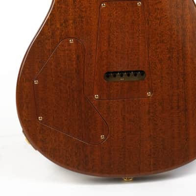 PRS Birds Of A Feather Private Stock Guitar Of The Month Owned by David Grissom image 15