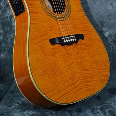 Alvarez FD60 Acoustic Electric Cutaway Dreadnought Amber Gloss Full Setup with Full Working EQ and FAST Shipping image 2