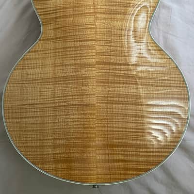 Andersen Model 17' Archtop image 4