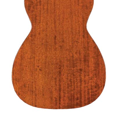 Guild M-120 Acoustic Guitar - All Mahogany Natural image 3