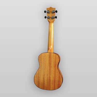 Puka Model PK-TFC Tropical Fish Rosette Natural Satin Finish Concert Ukulele image 4