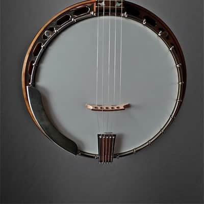 J. Romero Banjos Blue Grass 5-String Banjo Open Back Banjo, 11" image 2