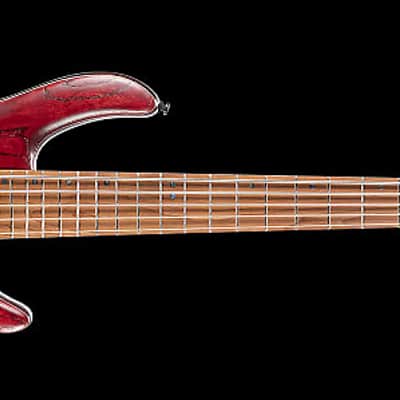Cort B5ELEMENTOPBR Bolt-On Construction Mahogany Body 5Pcs Walnut & Panga Panga 5-String Bass Guitar image 4