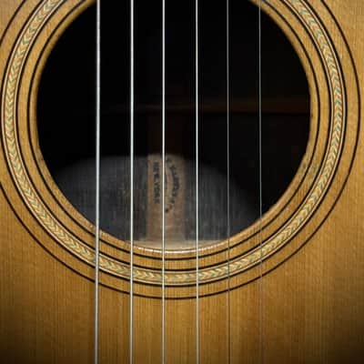 1870s Martin 2-20 Parlor Guitar, Adirondack Spruce & Brazilian RW **Neck Replaced** image 9
