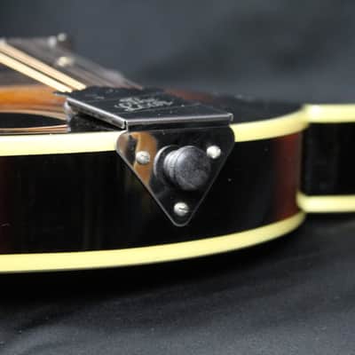 Loar LM-600 Carved Top Mandolin NEW OLD STOCK Mint Condition W/Gigbag image 6