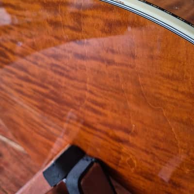 Deering Calico 5-String Banjo 2010s - with hard case, capo spikes, capo image 13