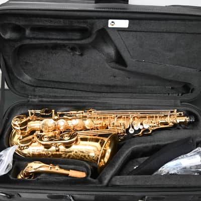 Eastman EAS850 Pro Alto Sax, Rue Saint-Georges, DS Mechanism, High F#, Gold Lacquer Finish image 8