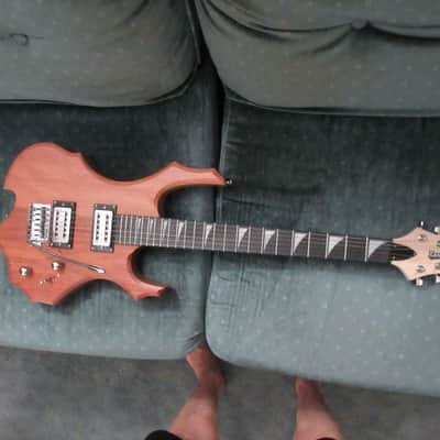 ~Cashner~ !!!Destroyer!!! Electric Guitar image 3