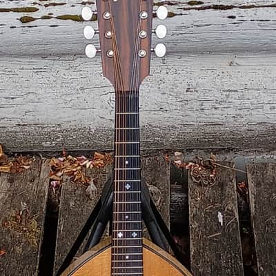 Flatiron 2MW mandolin, 1983 image 4