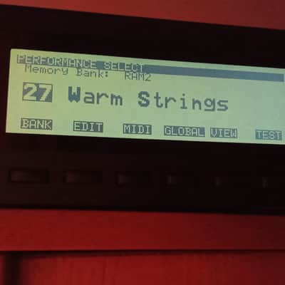 Original display for Korg wavestation A/D (price valid for 26/28_06) imagen 8