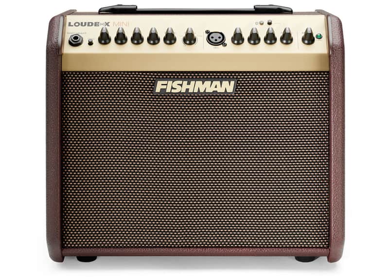 Fishman Loudbox Mini image 1