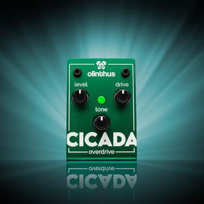 Olinthus Cicada Overdrive – World's Smallest Effects Pedal! image 9