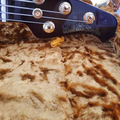 Music Man Stingray limited edition Sequoia Gold 2008 image 3